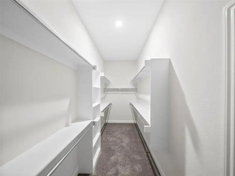 Walk in closet with dark colored carpet Walk in closet with dark colored carpet