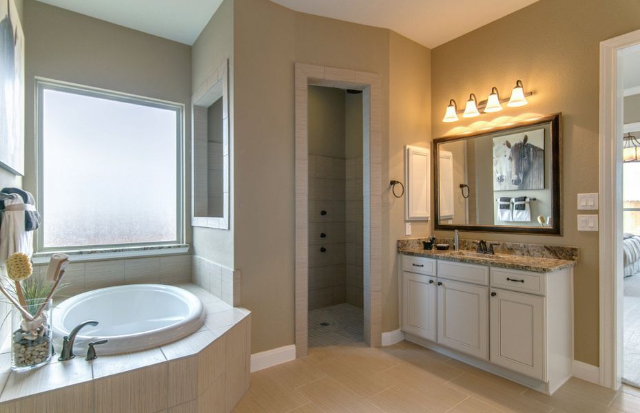 Soaking Tub in Owner's Bath