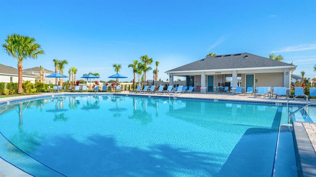 Community amenities in Indigo Creek, Apollo Beach (Image 26).