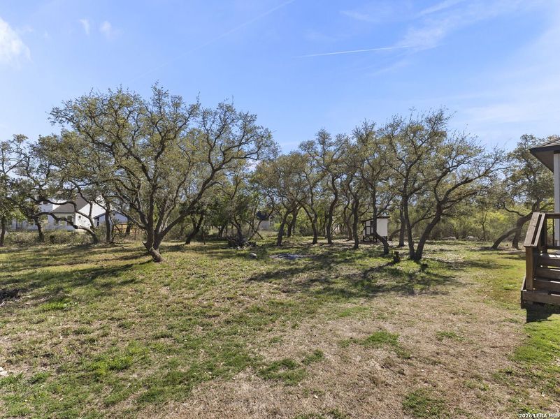 Natural landscape and outdoor views near Potranco Acres in Castroville (Image 42).