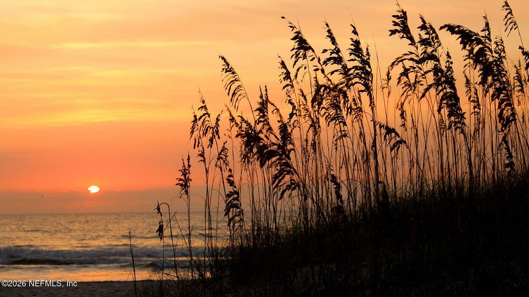 Natural landscape and outdoor views near Liberty Cove in Yulee (Image 20).