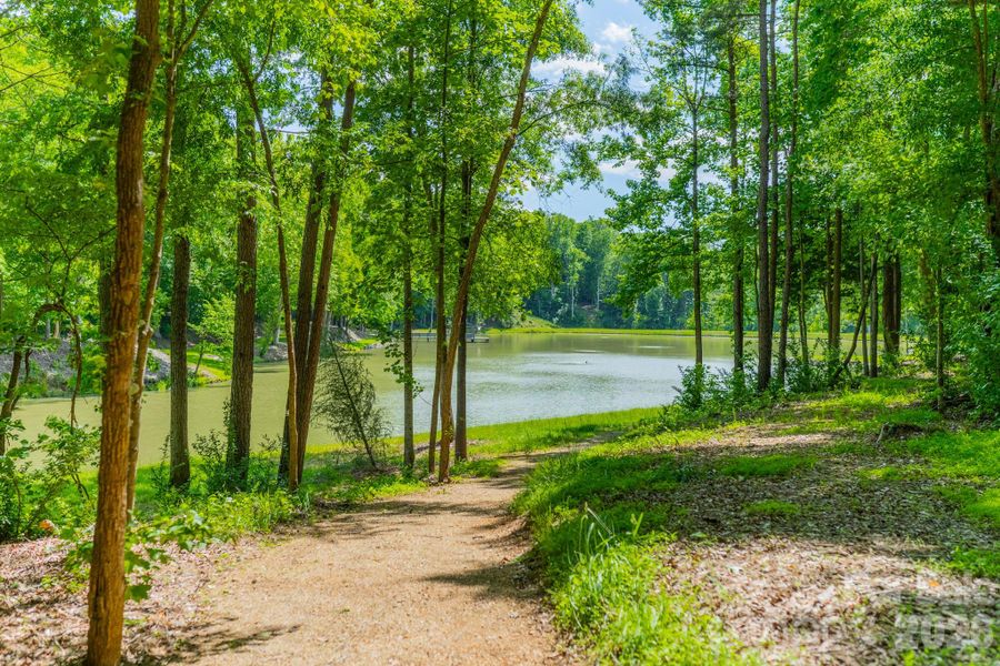 Natural landscape and outdoor views near  in Denver (Image 4).