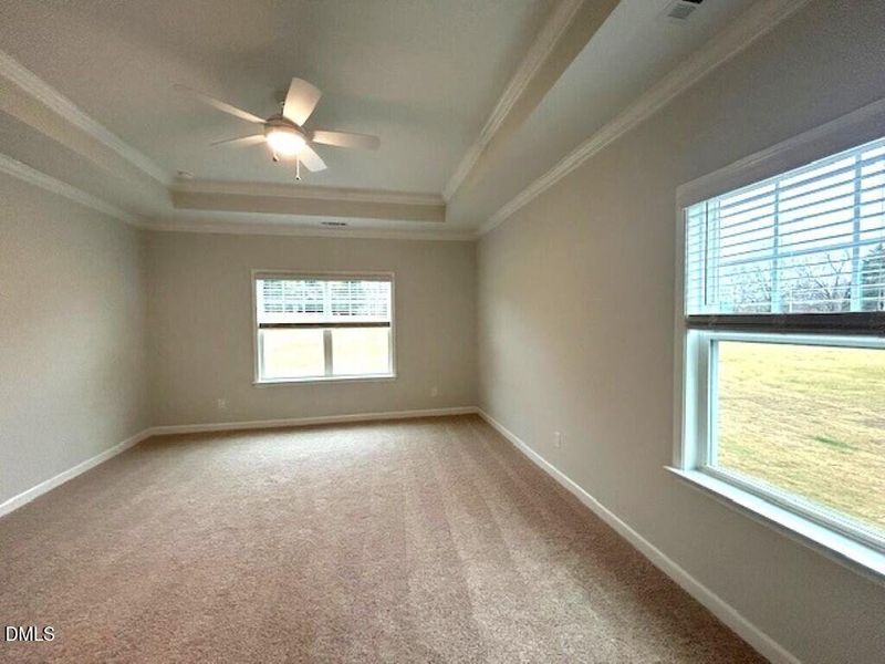 IMG_5038 (Medium) IMG_5038 (Medium)