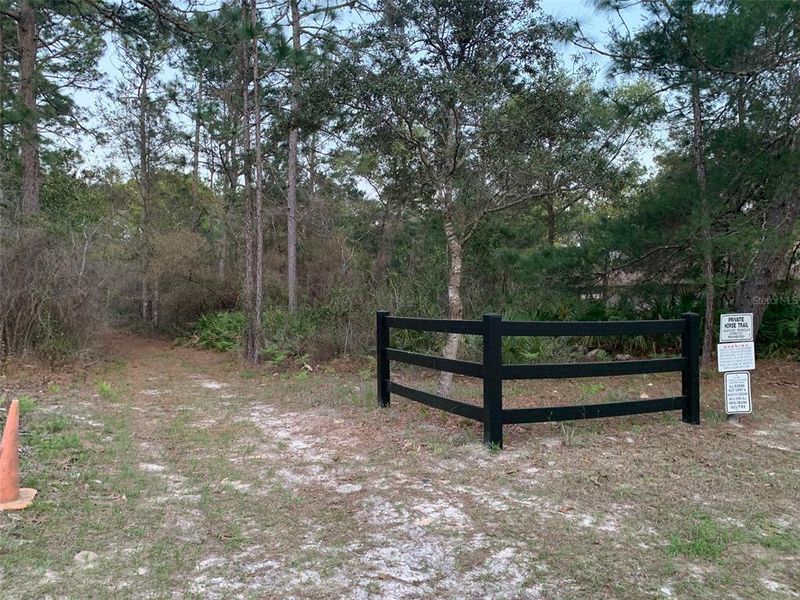 Natural landscape and outdoor views near Pine Ridge in Beverly Hills (Image 7).