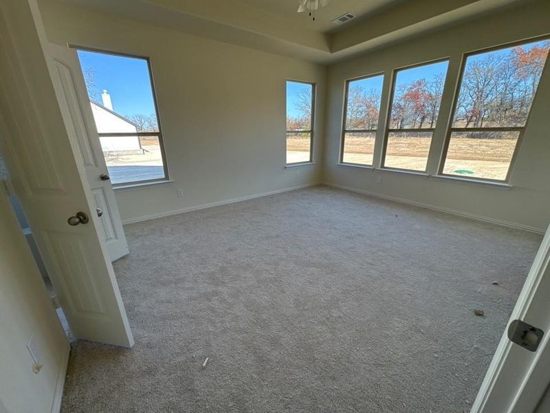 Unfurnished room with carpet and a raised ceiling