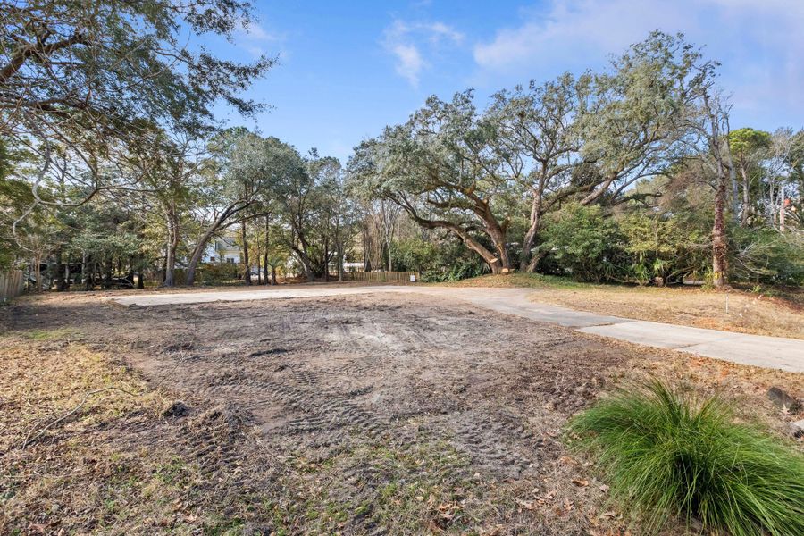 Natural landscape and outdoor views near  in Mount Pleasant (Image 19).