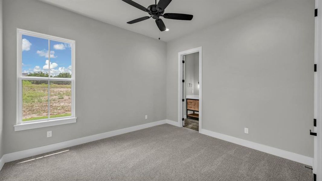 Carpeted interior with light gray walls, a ceiling fan, and white trim