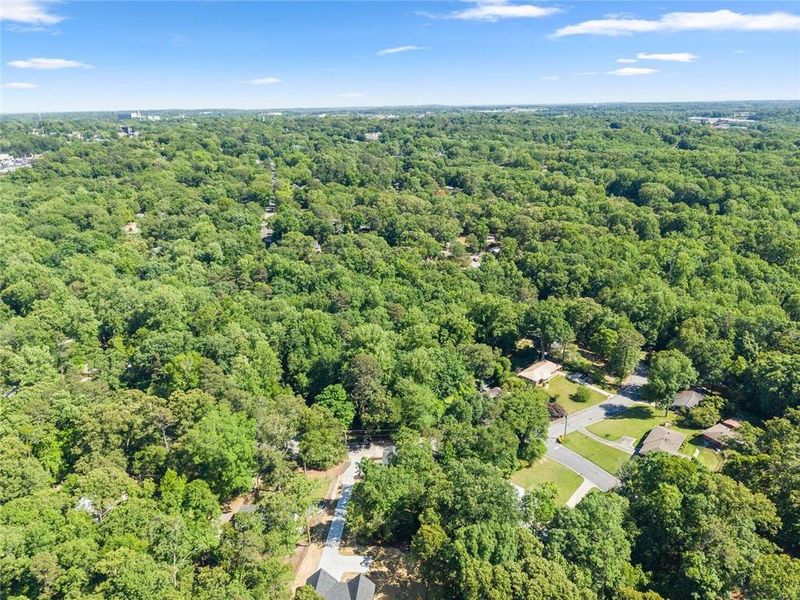 Natural landscape and outdoor views near  in Gainesville (Image 44).