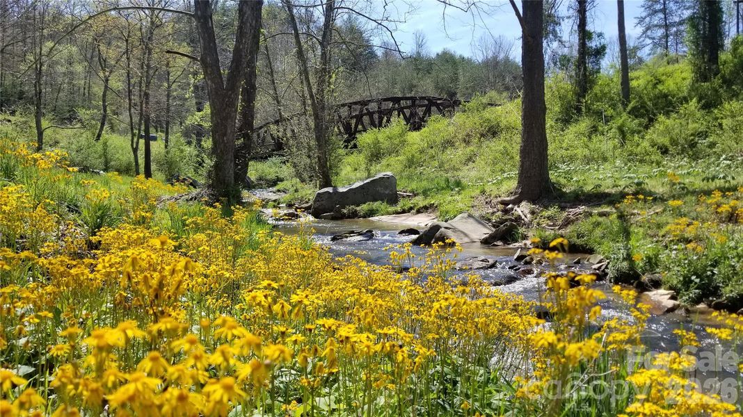 Natural landscape and outdoor views near  in Asheville (Image 35).