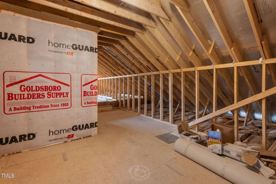 Spacious Walk-in Attic