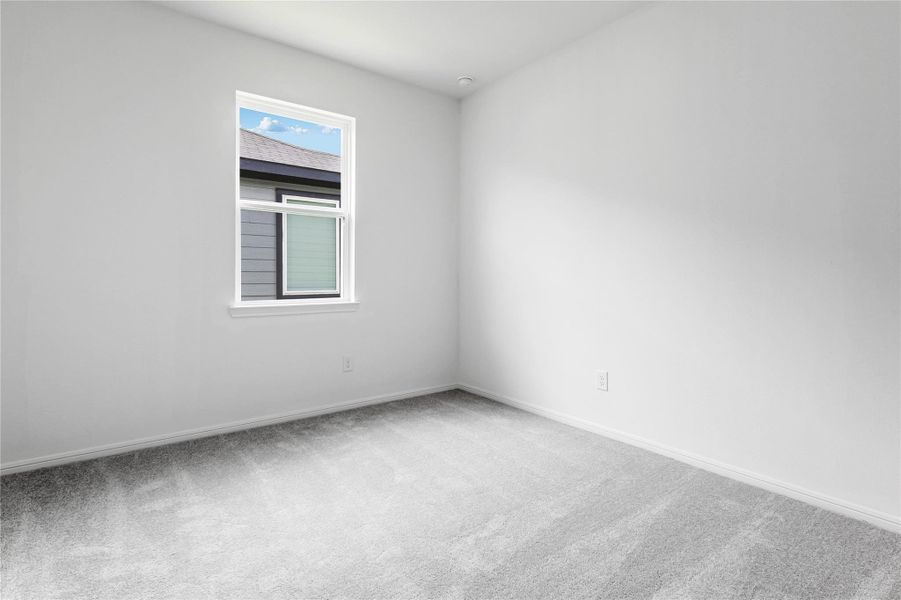 21834 Red Lantana ~ Ready Now 21834 Red Lantana ~ Ready Now