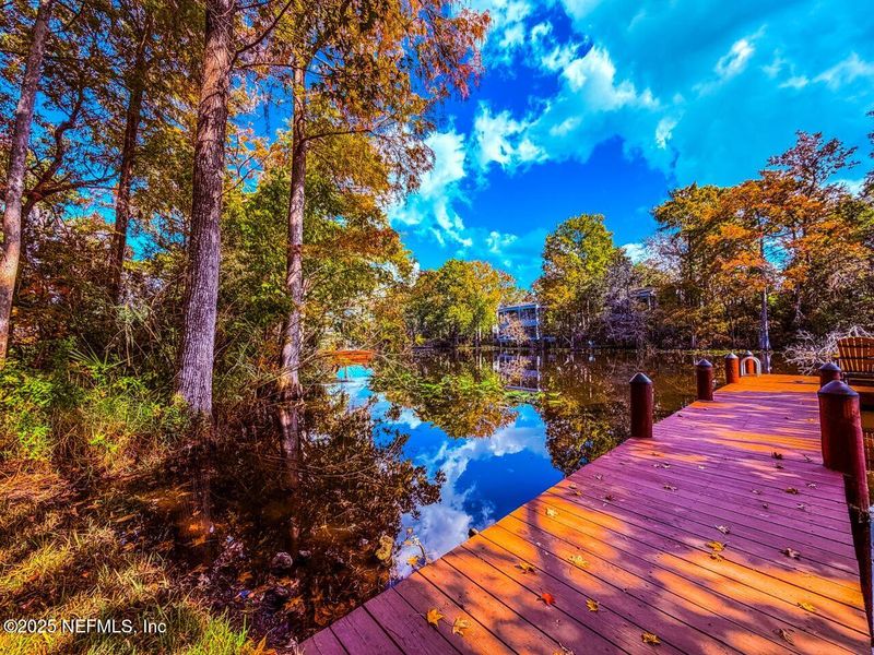 Natural landscape and outdoor views near  in Jacksonville (Image 61).