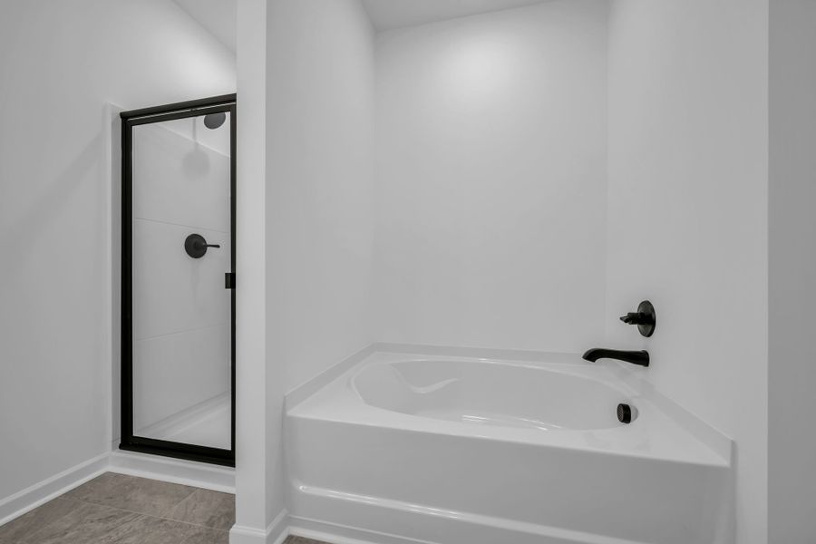 Image 38 of a home in Ironhorse.