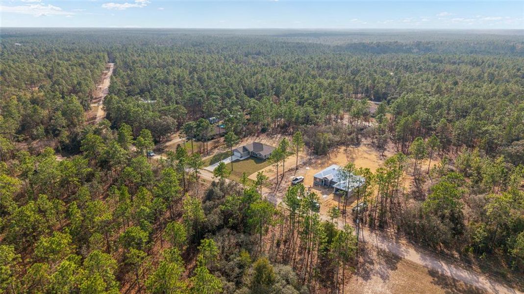 Natural landscape and outdoor views near in Ocala (Image 54). Natural landscape and outdoor views near in Ocala (Image 54).