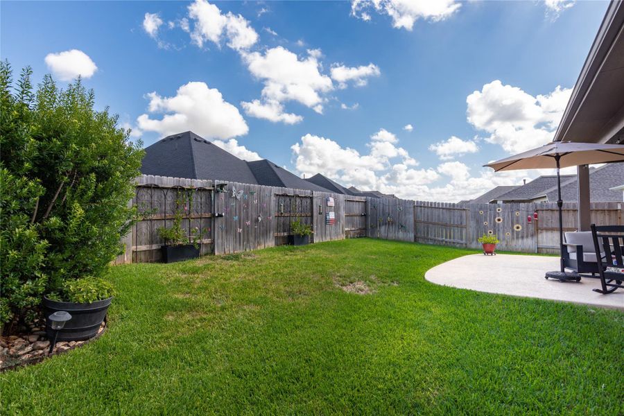 Another view of back yard.