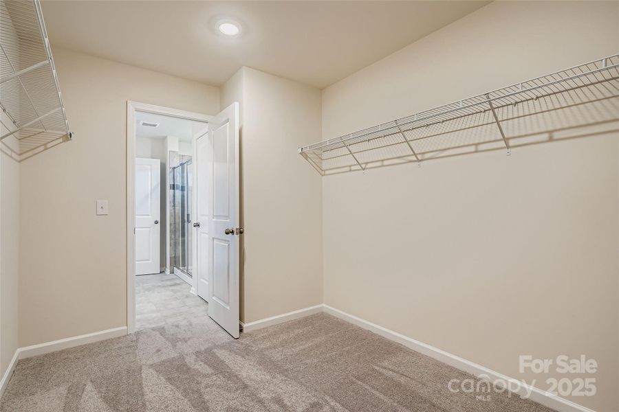 Spacious, unfurnished interior of a new home in Shannon Woods: Walk & Enclave, Maiden (Image 10).