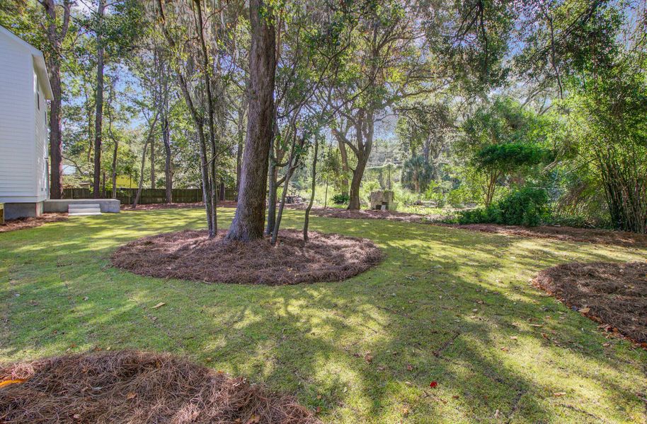 Natural landscape and outdoor views near  in Charleston (Image 34).