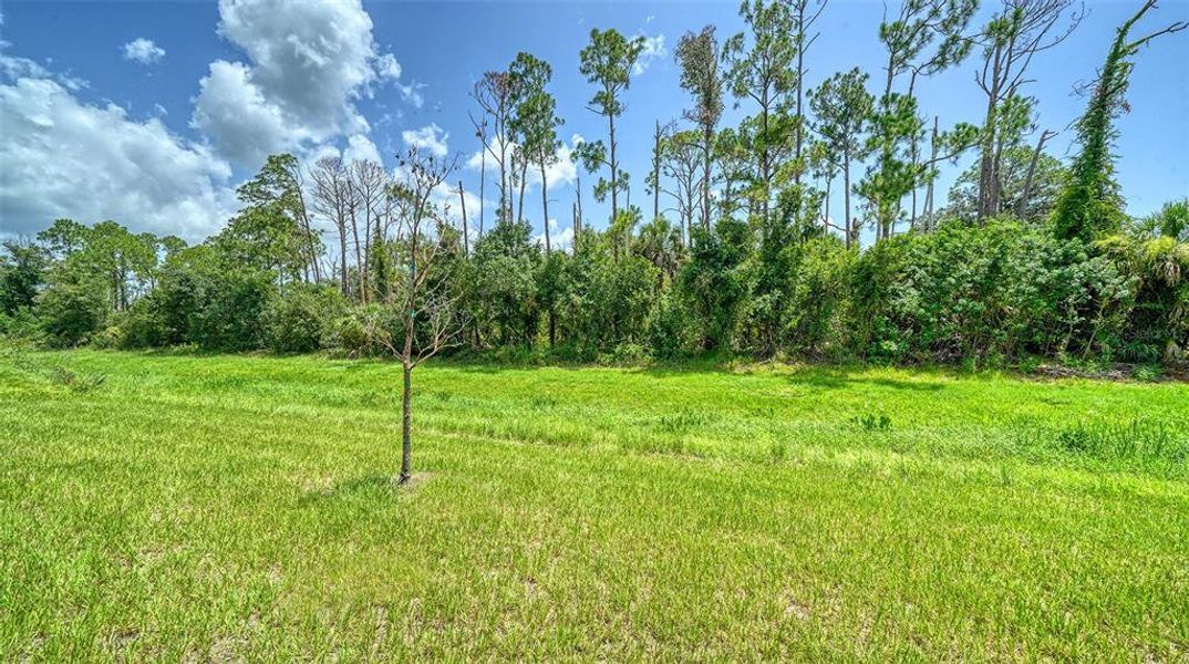 Natural landscape and outdoor views near  in North Port (Image 34).