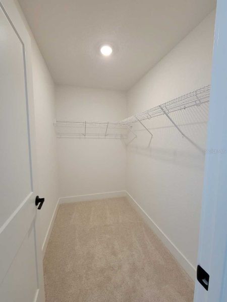 Spacious, unfurnished interior of a new home in Ocala Crossings South, Ocala (Image 15).