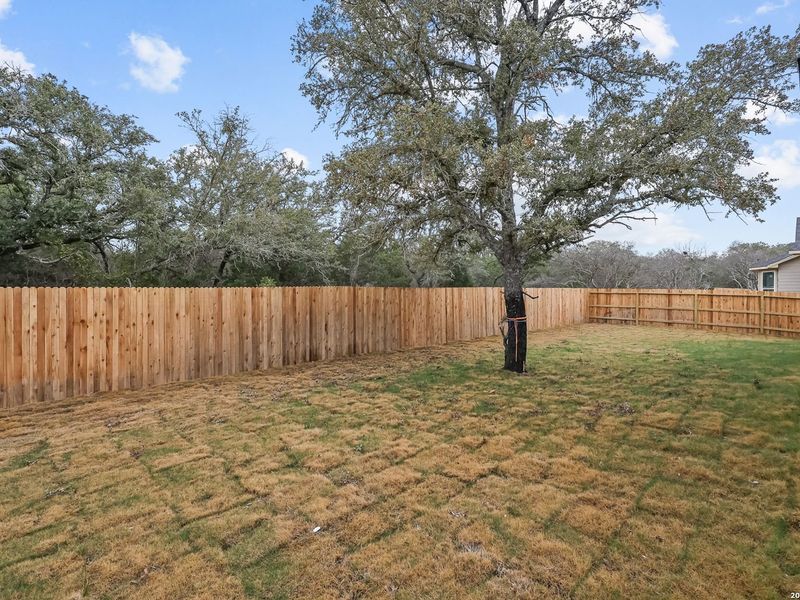 Exterior details and patio area of a home in The Reserve at Potranco Oaks, Castroville (Image 31).