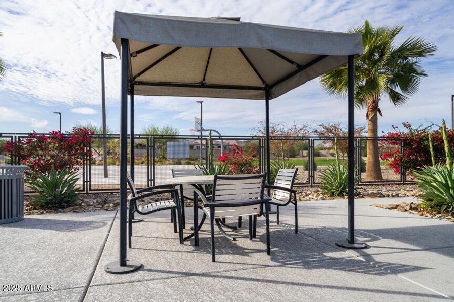 Community Photo Community Photo