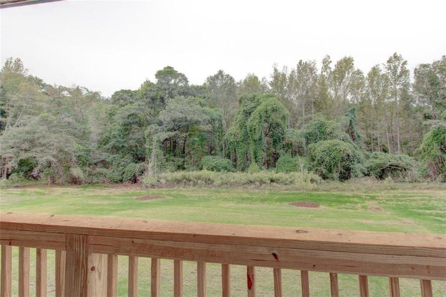 Natural landscape and outdoor views near  in Conyers (Image 49).