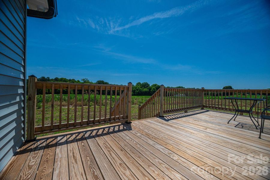 Large Back Deck