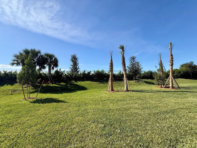 Natural landscape and outdoor views near  in Port St. Lucie (Image 22).