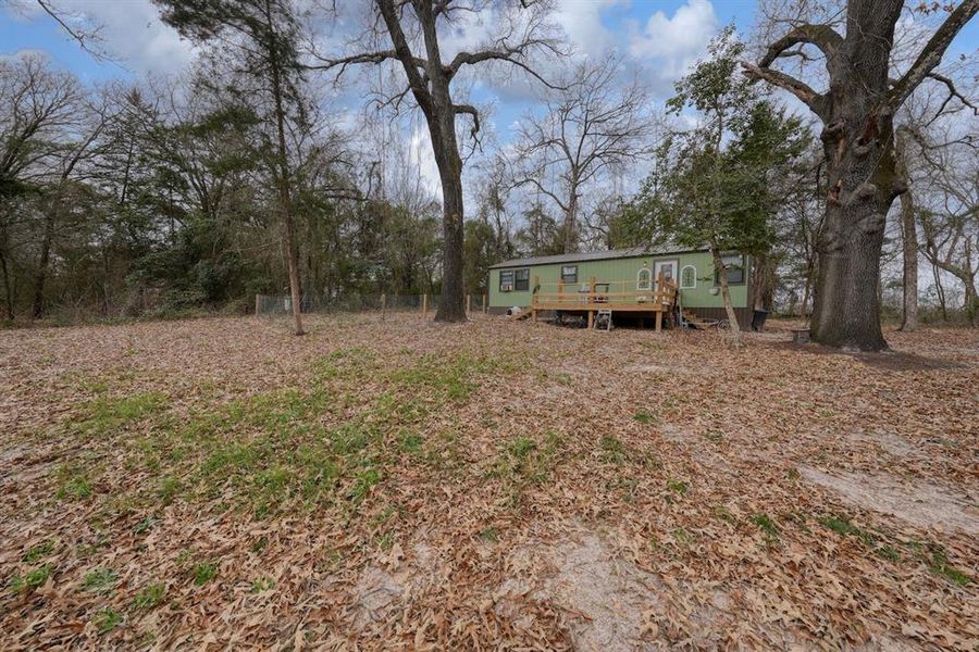 Natural landscape and outdoor views near  in Grand Saline (Image 29).