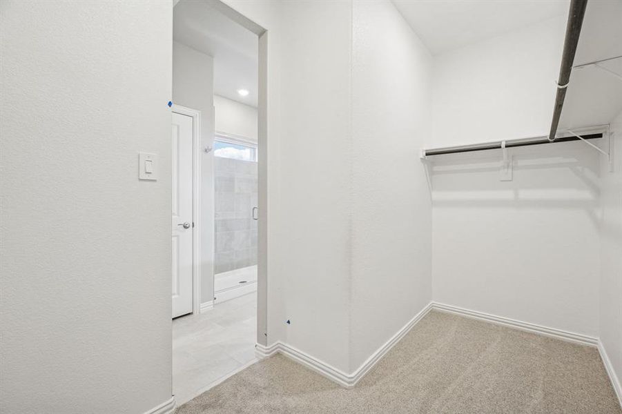 Spacious, unfurnished interior of a new home in , Princeton (Image 31).