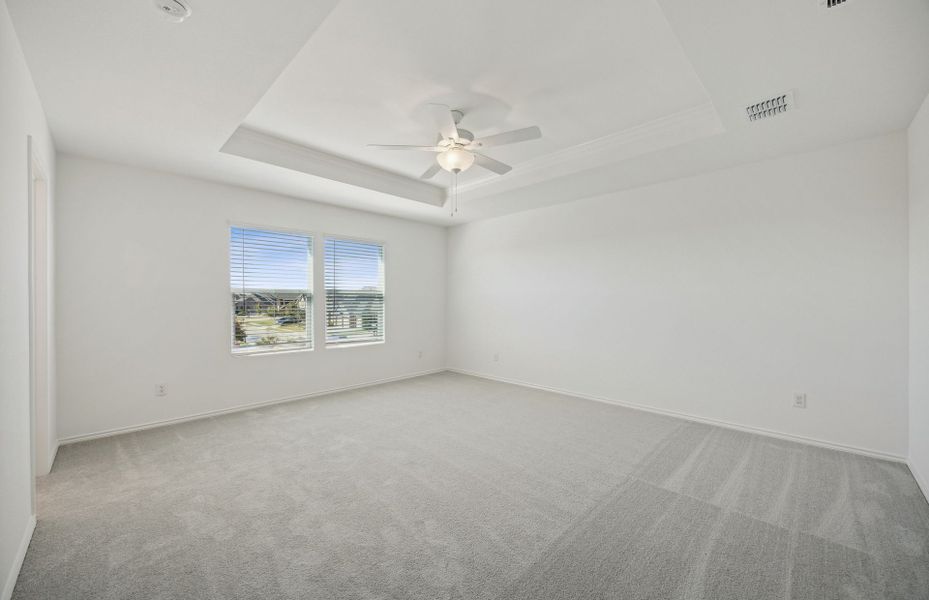 Spacious owner's suite with tray ceiling