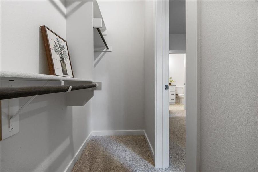 Spacious closet with carpet floors