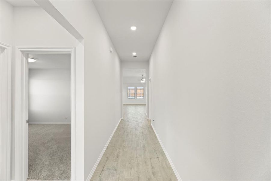 04. 118 Coyote - Entry (2) 04. 118 Coyote - Entry (2)