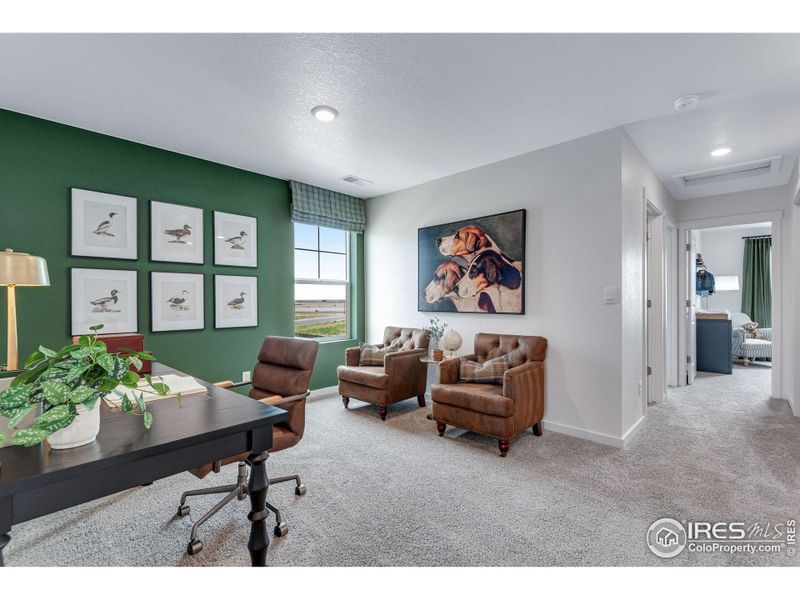 Furnished interior view inside a new home in Vista Meadows, Fort Lupton (Image 22).