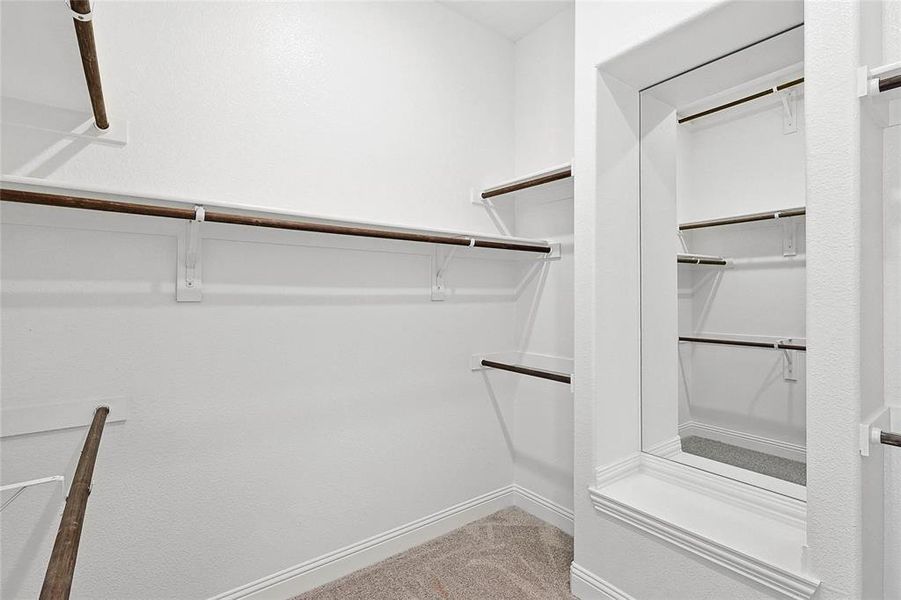 Walk in closet featuring carpet floors