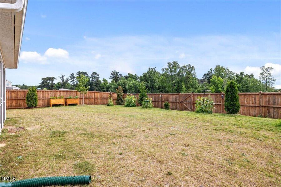 269 Blue Aspen Dr. Yard 4 269 Blue Aspen Dr. Yard 4