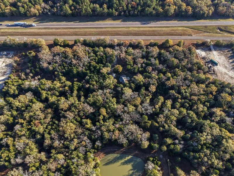 Natural landscape and outdoor views near  in Teague (Image 14).