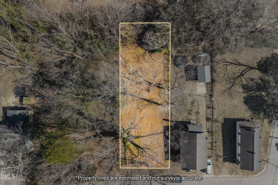 1 -813 S Woodrow St, Drone