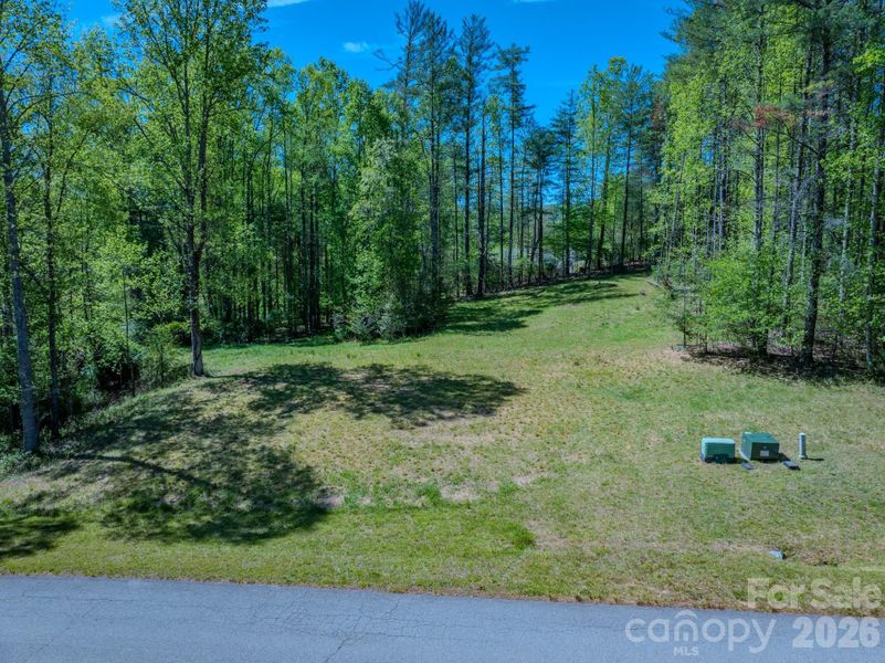 Natural landscape and outdoor views near  in Hendersonville (Image 14).