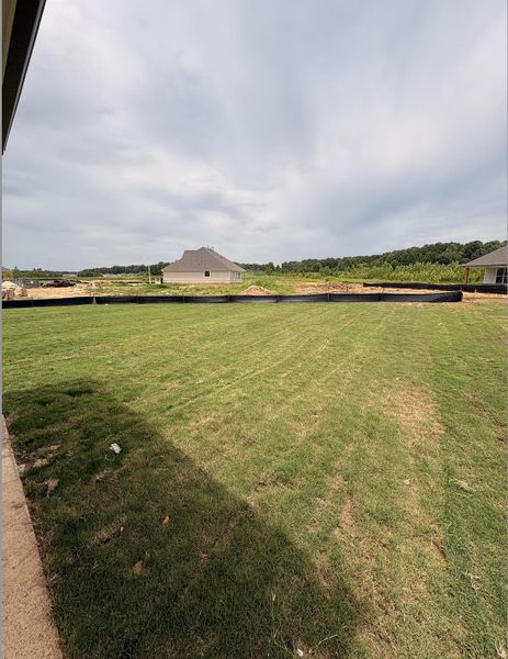 Expansive backyard featuring a green lawn, dark perimeter fencing, and an open natural landscape beyond Expansive backyard featuring a green lawn, dark perimeter fencing, and an open natural landscape beyond