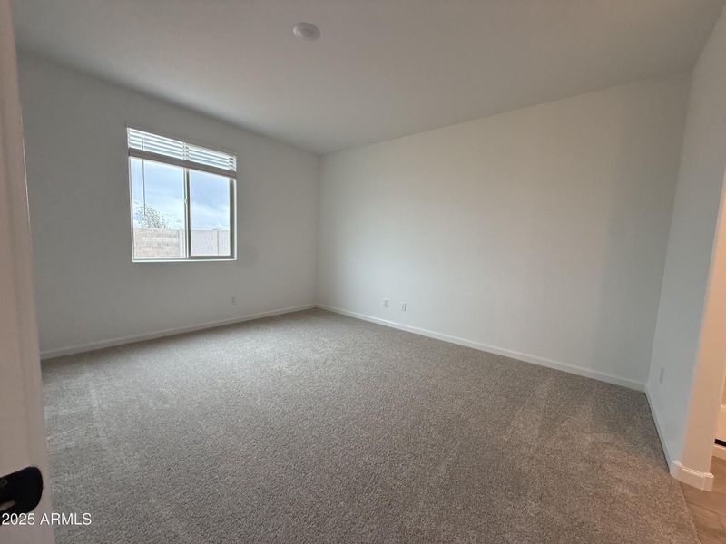 15.primarybed 15.primarybed