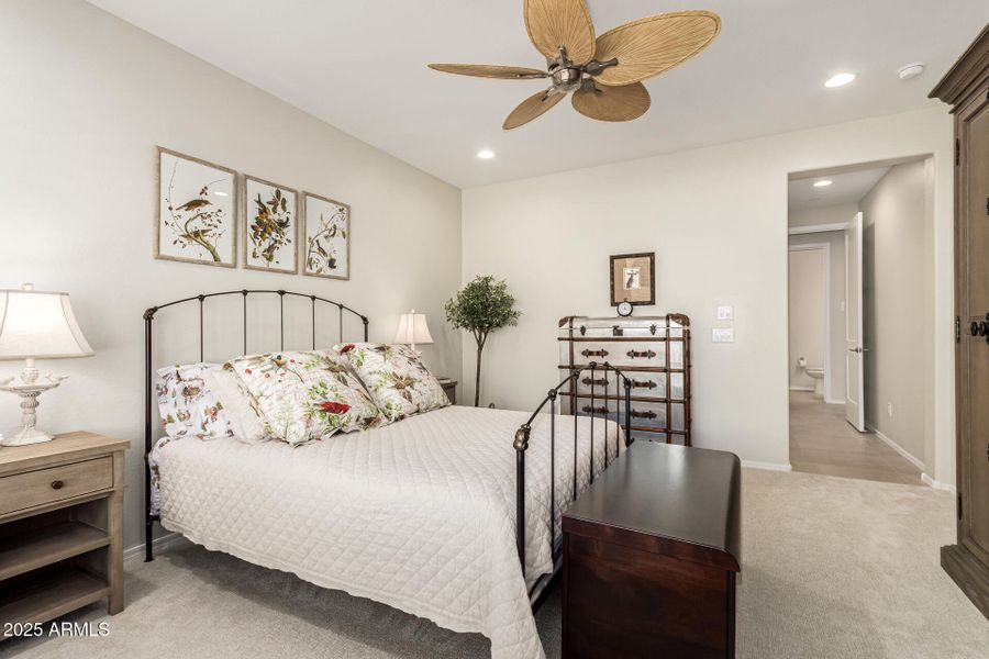 28-Cactus Wren 28-Cactus Wren