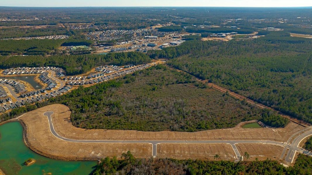 Site preparation for new homesites in Sheep Island, Summerville (Image 26).