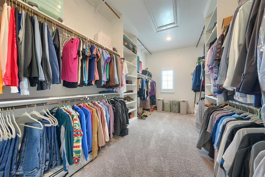 Walk in closet with attic access and light carpet