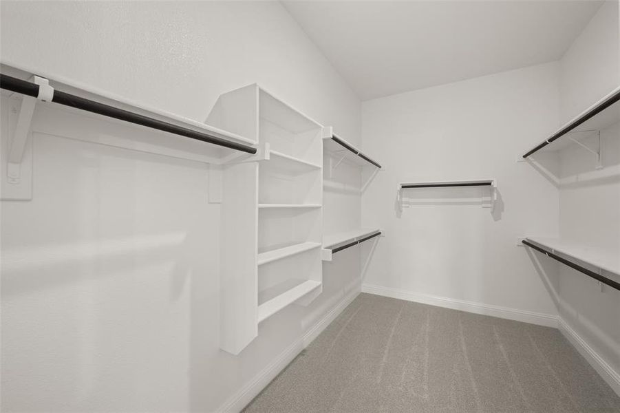 Spacious closet featuring light carpet Spacious closet featuring light carpet