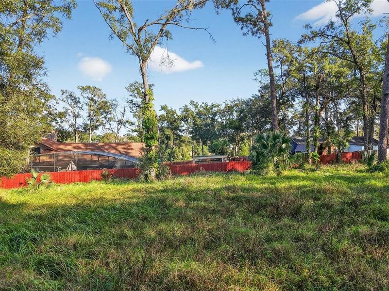 Natural landscape and outdoor views near in Mount Plymouth (Image 22). Natural landscape and outdoor views near in Mount Plymouth (Image 22).