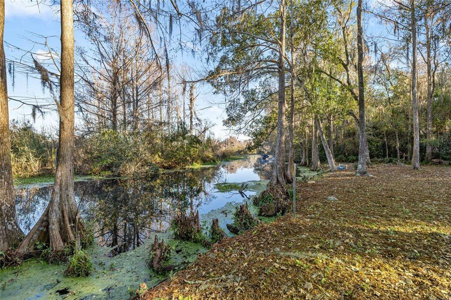 Natural landscape and outdoor views near  in Dunnellon (Image 36).
