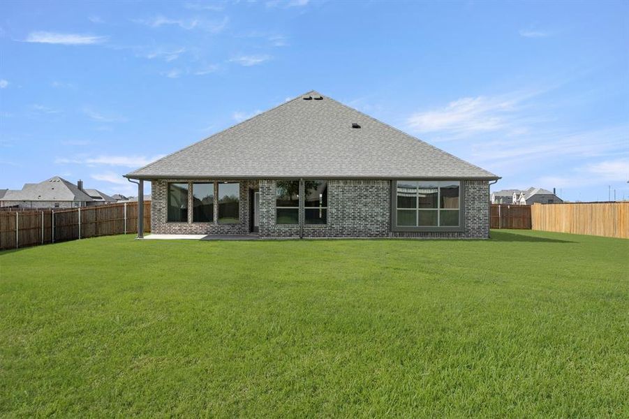 12980 Little Wolf- Back-2 12980 Little Wolf- Back-2