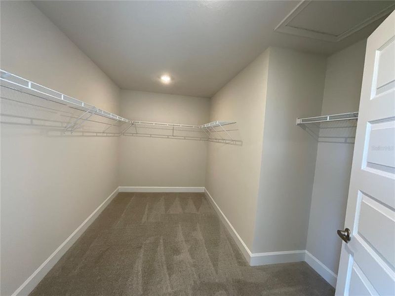 Spacious, unfurnished interior of a new home in , Harmony (Image 5).