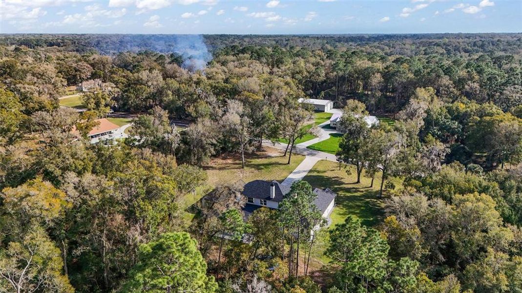 Natural landscape and outdoor views near  in Deland (Image 36).